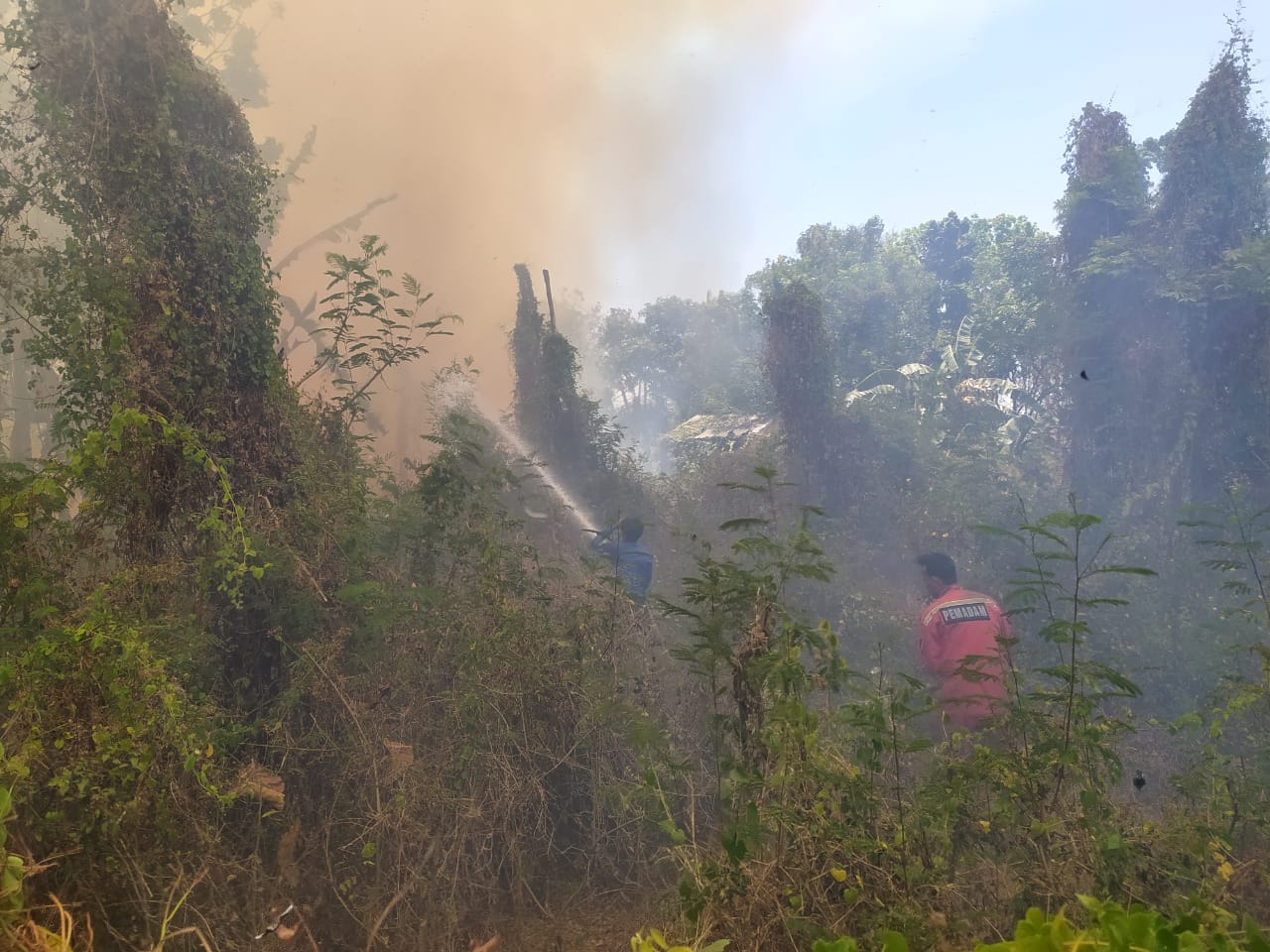 Lahan Kering Terbakar di Lebaksiu Tegal, Dua Pabrik Nyaris Terpapar Api