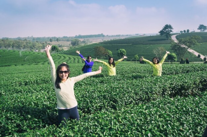 5 Tempat Wisata Seru di Batang Buat Healing Singkat yang Menyegarkan