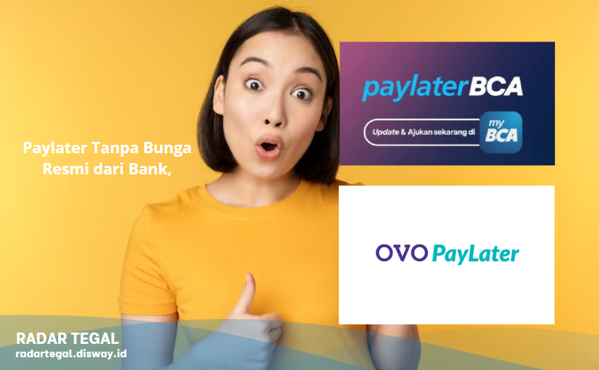 Cuma di 2025! Paylater Tanpa Bunga Resmi dari Bank, Ini Daftar Aplikasinya