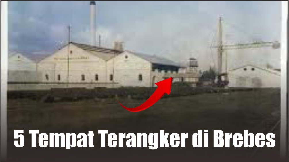 Bukan Sekadar Mitos, Ini 5 Tempat Paling Angker di Brebes yang Sering Dipakai untuk Tempat Uji Nyali