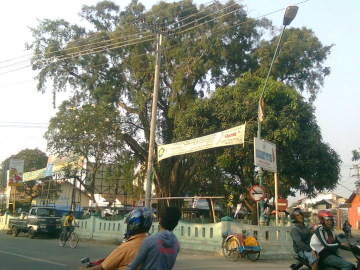 Sejarah Tanah Brebes yang Berada di Desa Ujungrusi Tegal, Dulunya Menjadi tempat Peristirahatan Para Raja