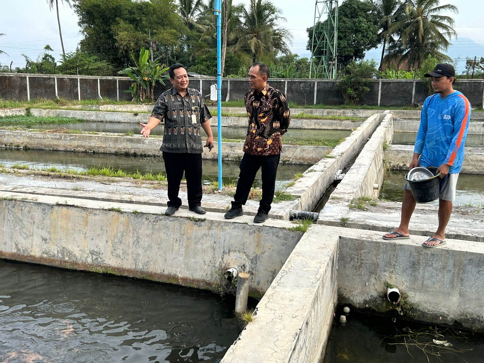 Ketua DPRD Jateng Dorong Budidaya Ikan Beong