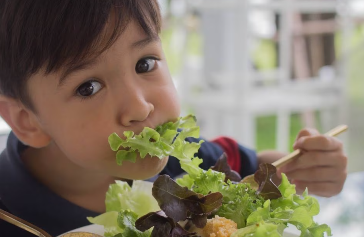 Apa Jadinya Jika Kita Hanya Makan Sayuran Seumur Hidup Kita? Berikut Penjelasannya