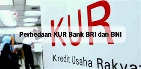 Perbedaan KUR Bank BRI dan BNI, Mana yang Sesuai untuk Anda? Simak Selengkapnya di bawah ini!