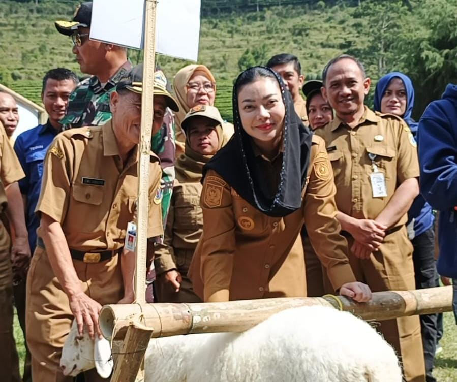 Dibuka Bupati Paramitha, Kontes Domba Sakub Resmi Digelar