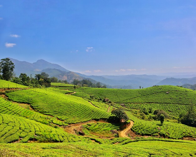 7 Wisata Alam Viral di Blitar yang Bikin Mata Adem & Feed IG Makin Aesthetic, Wajib Masuk Wishlist 2025!