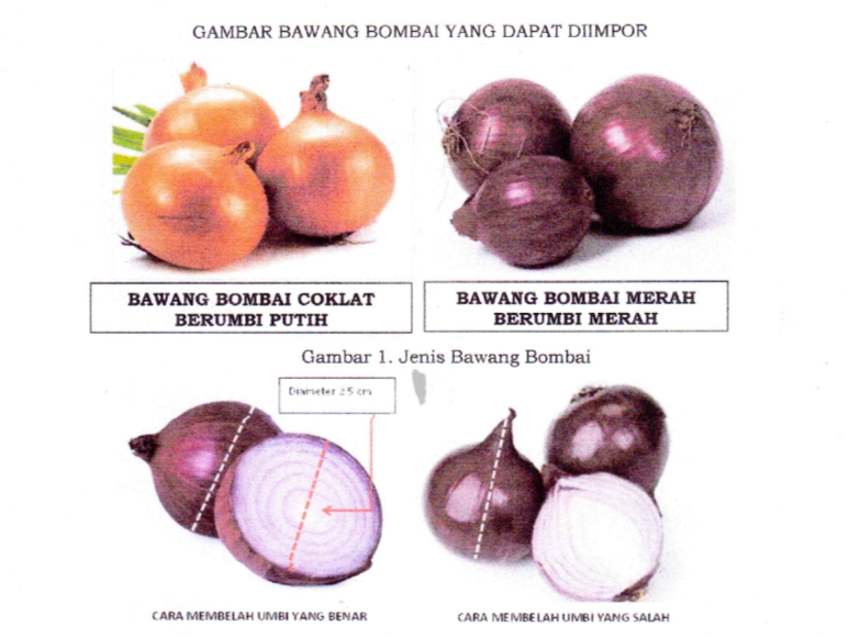 Bawang Bombai Mini Dilarang Beredar di Brebes, Ini Sebabnya