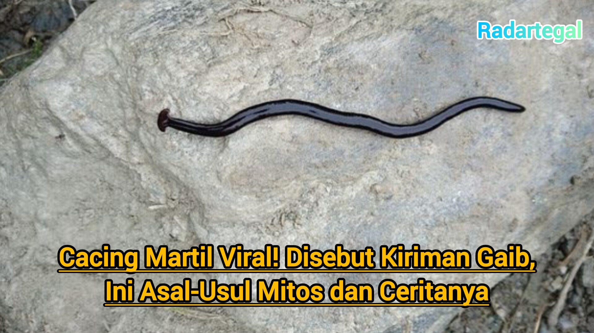 Cacing Martil Viral, Disebut Kiriman Gaib! Ini Asal-Usul Mitos dan Ceritanya