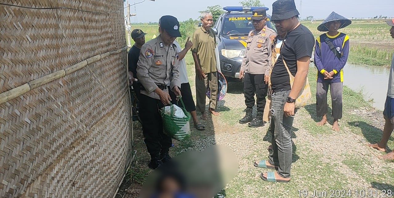 BREAKING NEWS! Petani di Brebes Ditemukan Tak Bernyawa di Persawahan, Polisi Selidiki Penyebabnya  