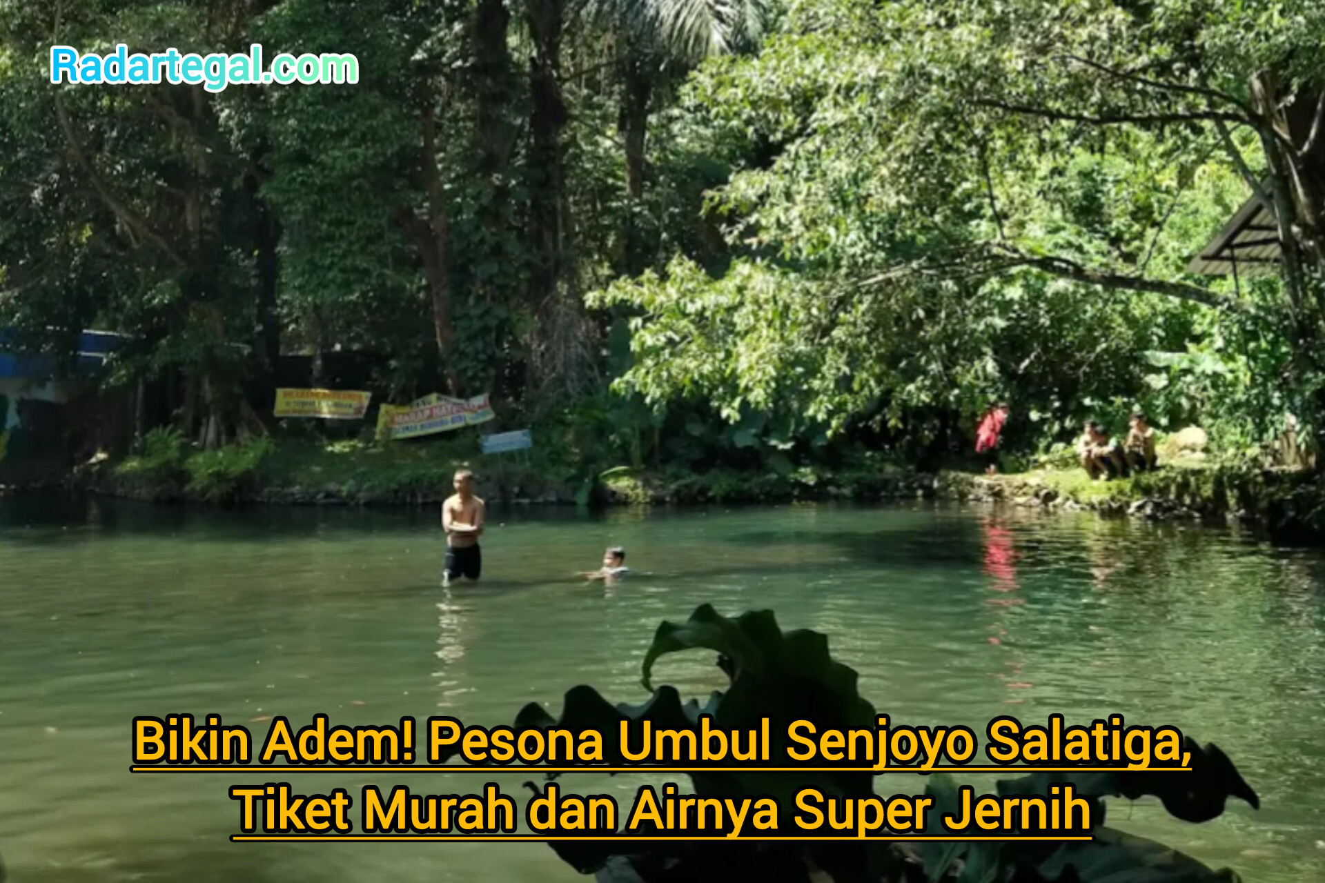 Bikin Adem! Pesona Umbul Senjoyo Salatiga, Tiket Murah dan Airnya Super Jernih