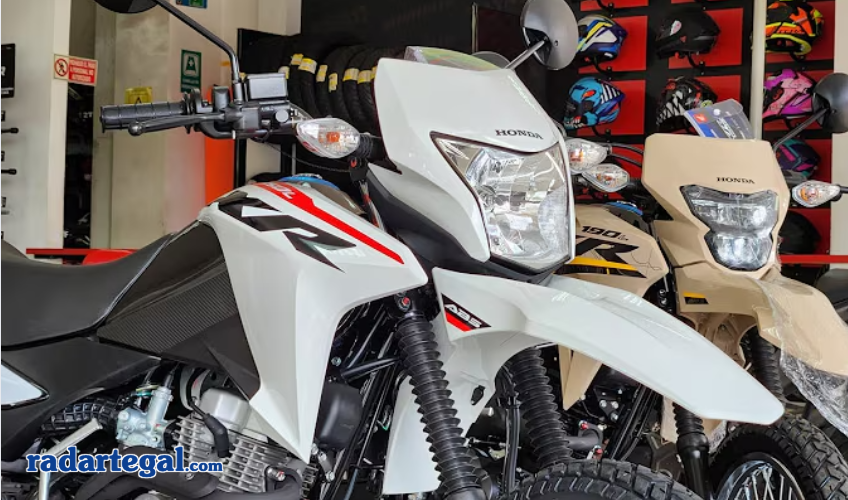 Honda XR150L 2025, Motor Trail Tangguh dan Terjangkau untuk Semua Medan