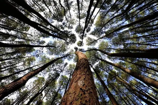 7 Wisata Unik di Jawa Tengah yang Jarang Diketahui Traveler