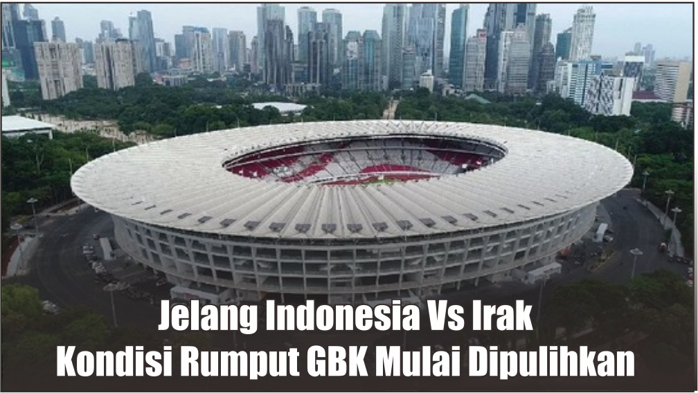 Jelang Pertandingan Timnas Indonesia Vs Irak, Kondisi Rumput Stadion GBK Mulai Dipulihkan Kembali 