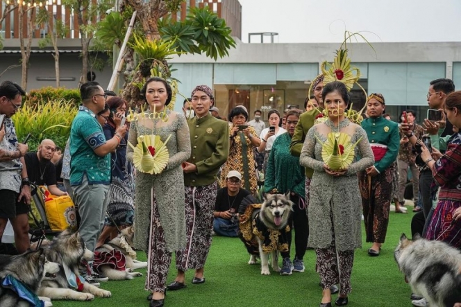 Viral Pernikahan Anjing dengan Adat Jawa, Staf Khusus Kepresidenan Banjir Kritikan 