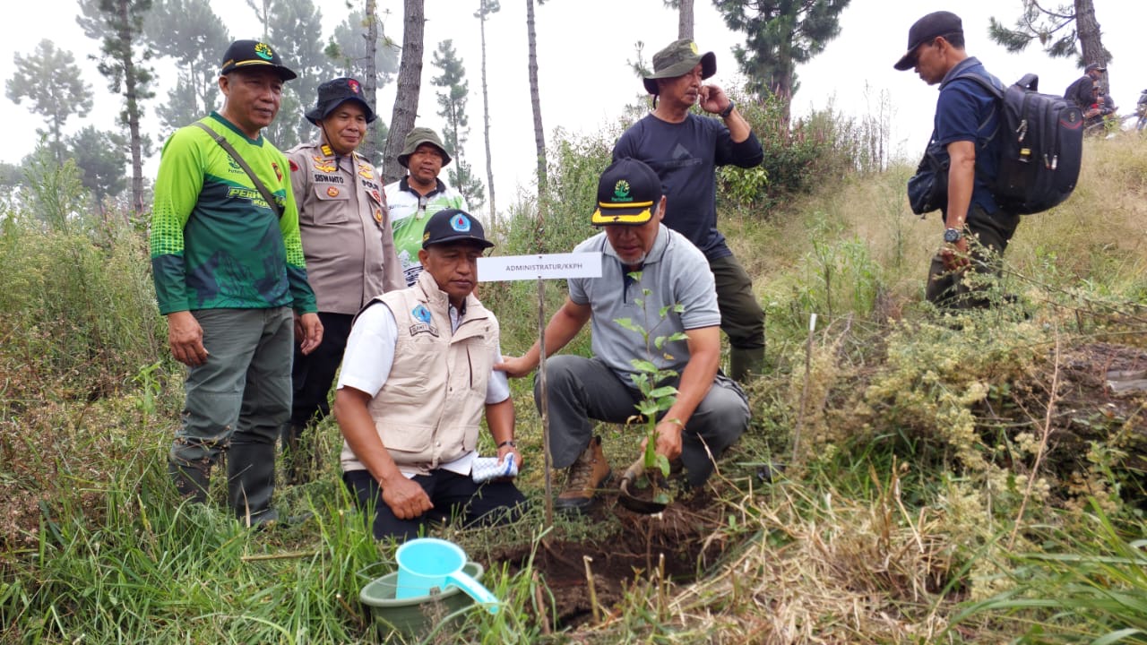 Rehabilitasi Hutan di Brebes, 1.665 Pohon Ditanam di Wilayah Pegunungan