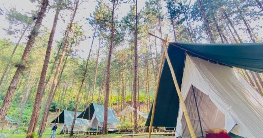 7 Wisata Viral di Tegal Jawa Tengah yang Hits dan Murah Meriah untuk Liburan Keluarga