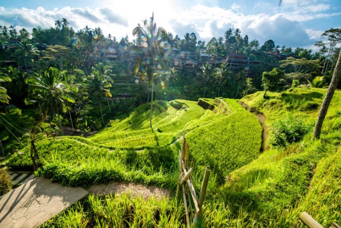 5 Hidden Gems di Ubud yang Wajib Diketahui First Timer