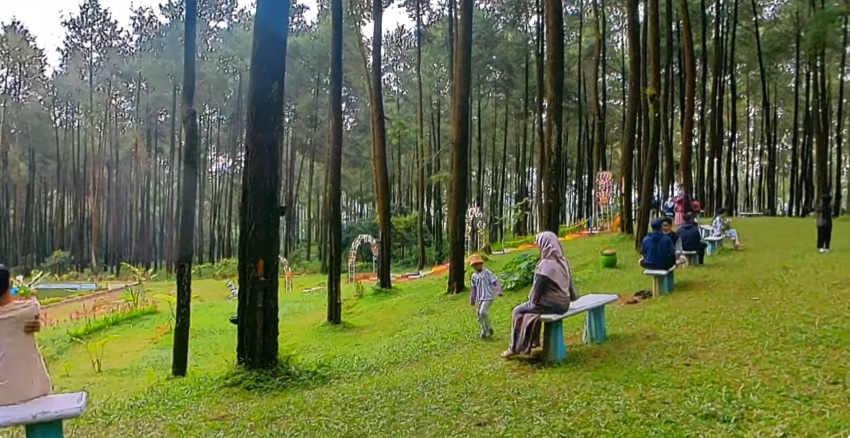 7 Wisata Keluarga Seru di Tegal dengan Banyak Spot Instagramable