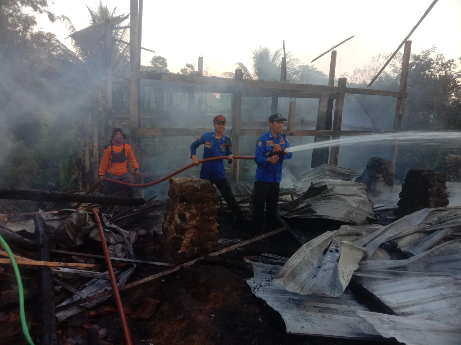 Kandang Ayam di Kabupaten Tegal Ludes Terbakar, Ratusan Ekor Ayam Terpanggang Habis 