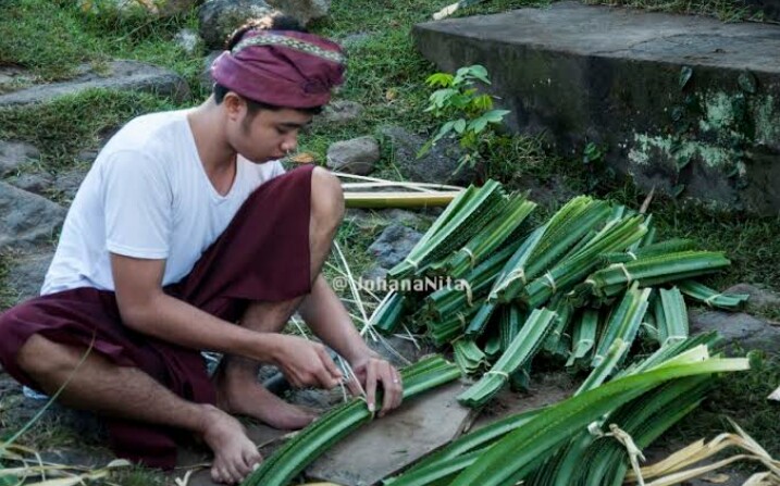 Ketahui Mitos Daun Pandan dari Menangkal Energi Jahat hingga Bisa Menjadi Pagar Gaib