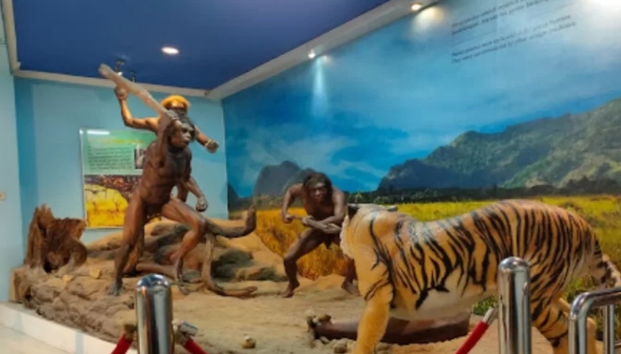 Sejarah Museum Fosil Sangiran: Menyelami Jejak Manusia Purba di Indonesia yang Jarang Diketahui