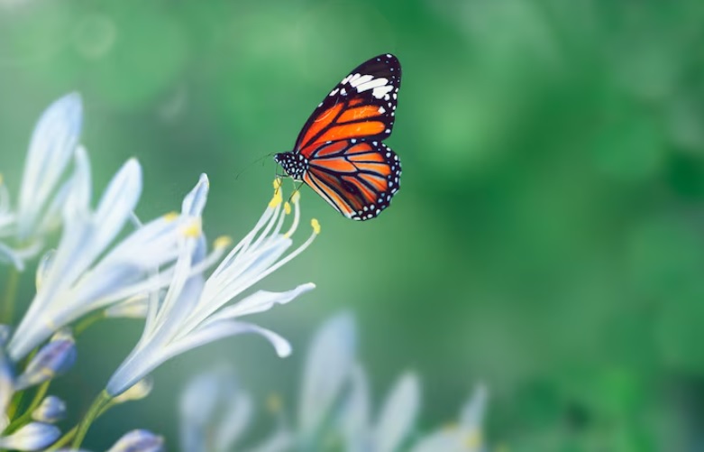 7 Mitos Jawa Berkaitan dengan Hewan yang Masih Dipercaya