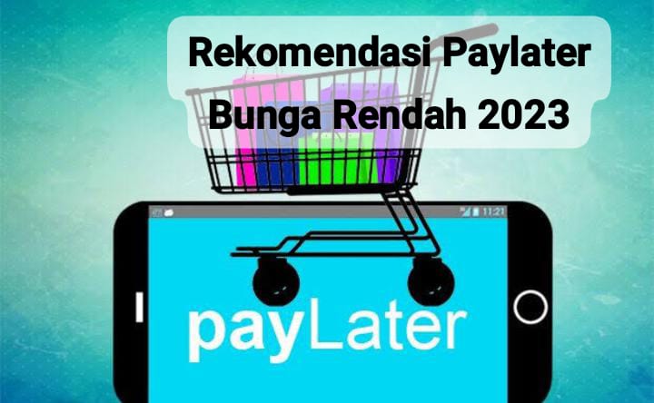 Rekomendasi Paylater Bunga Rendah Terbaik 2023, Tenor Tertentu Bisa Dapat hingga 0 Persen