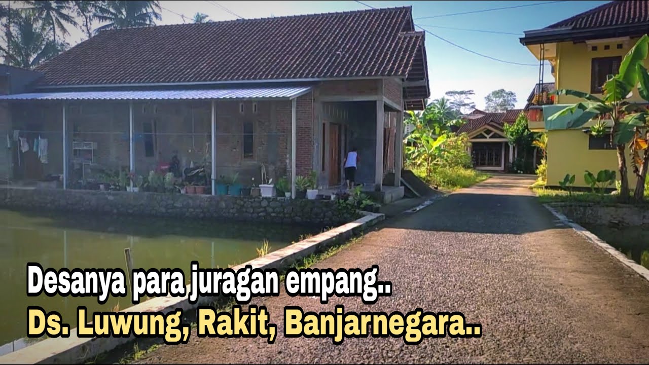 Dekat Purwokerto Ada Kampung Juragan Empang, di Setiap Rumah Warganya Punya Kolam Ikan