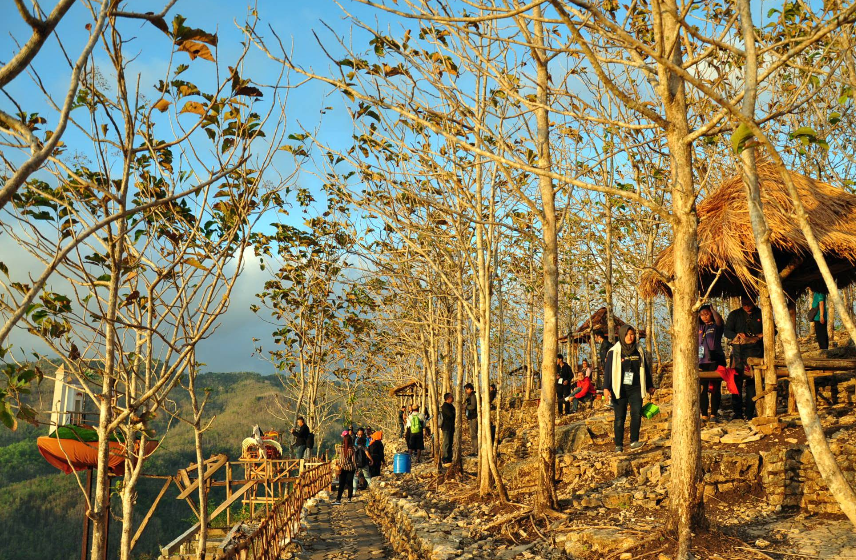 Bukit Panguk Kediwung, Spot Sunrise Tercantik di Jogja yang Wajib Dikunjungi