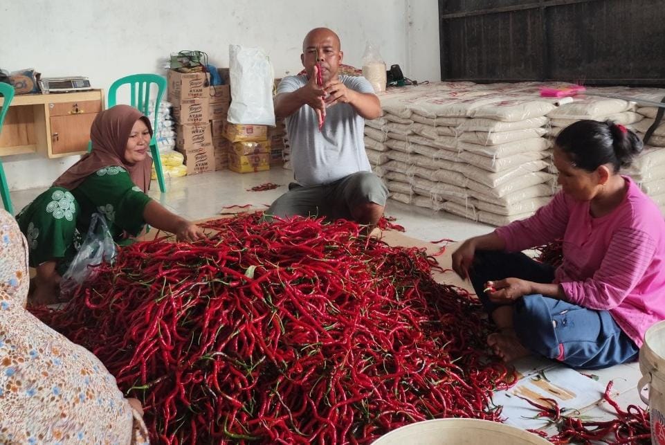 Dukung Ketahanan Pangan dan Gizi, BRI Salurkan Pembiayaan Kepada Koperasi Penyuplai Bahan MBG