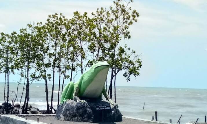 Mitos Berendam Pagi Sore di Pantai Pulau Kodok Tegal Dapat Mengobati Penyakit, Benarkah? 