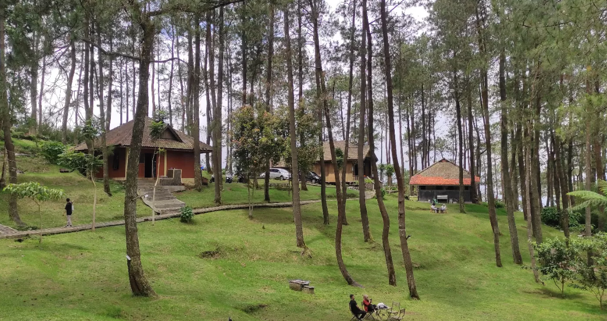 5 Glamping Pemandangan Hutan Pinus di Jawa Tengah yang Masih Hidden Gem!