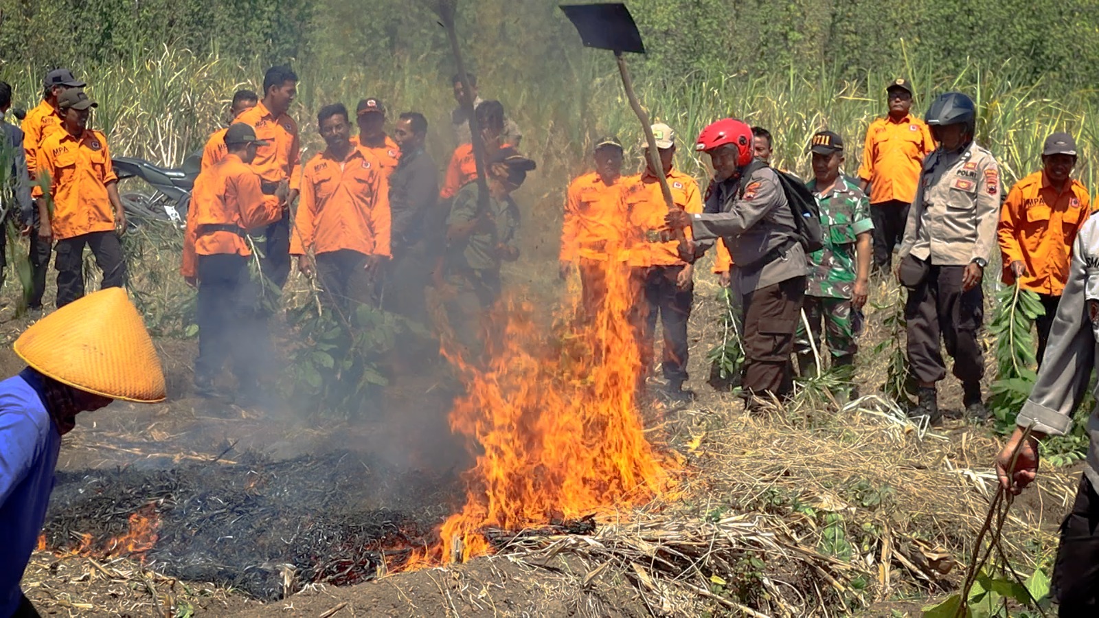 MANTAP! Dicurhati Kebakaran Hutan, Satgas Karhutala Pemalang Langsung Eksekusi Laporan