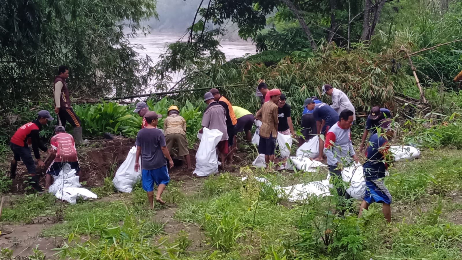 30 Meter Tanggul di Kalibuntu - Losari Brebes Kondisinya Kritis