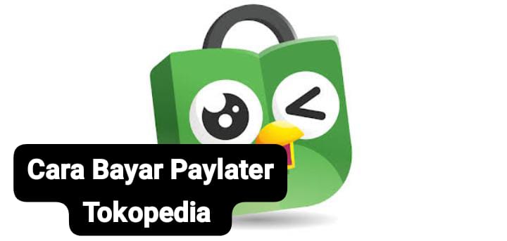 Cara Bayar Paylater Tokopedia yang Mudah dan Tidak Butuh Waktu Lama