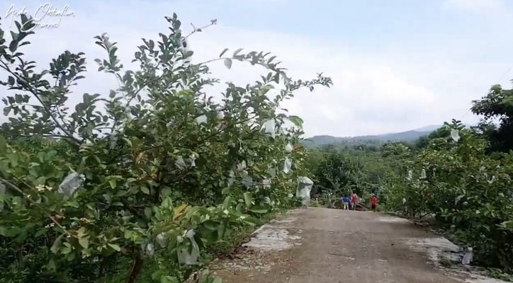 5 Wisata Edukatif di Cilacap yang Bikin Anak Betah! Bisa Belajar Sambil Liburan