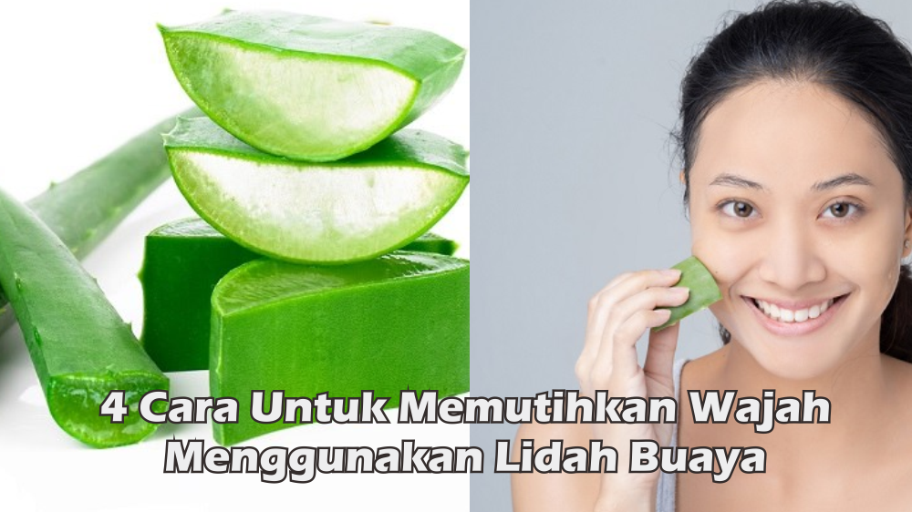 Ampuh! Inilah 4 Cara Memutihkan Wajah Menggunakan Lidah Buaya, Rahasia Wajah Glowing Secara Alami