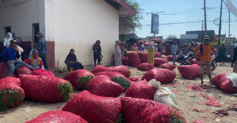 Harga Cabai Merah di Brebes Belum Stabil, Petani Sambat Pemerintah