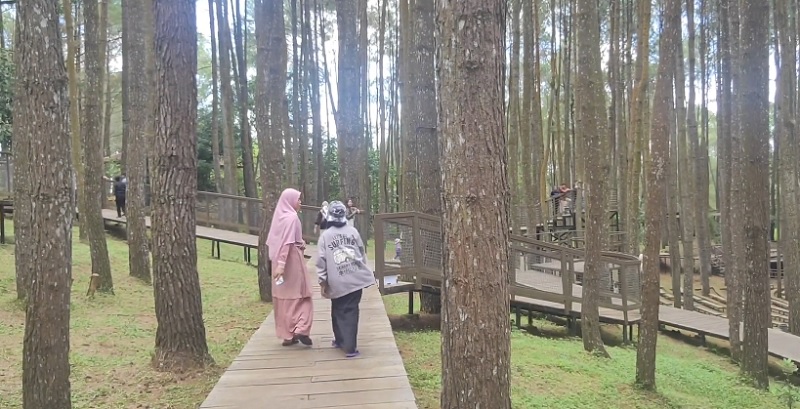 4 Wisata Alam Murah di Yogyakarta dengan Pengalaman Unik