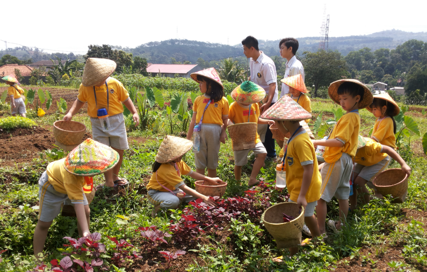 3 Wisata Edukasi Anak di Tegal, Bikin Liburan Seru & Pintar!
