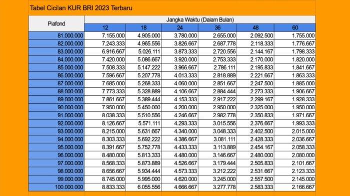 Paling Gres, Simulasi Tabel Angsuran KUR BRI 2023 Tiap Bulan dengan Subsidi Bunga dari Pemerintah