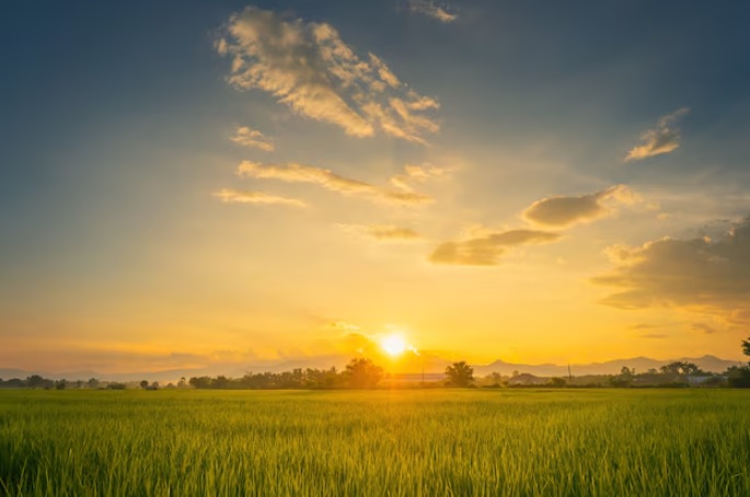 8 Spot Sunrise di Jawa Tengah Tanpa Harus Mendaki Gunung Tinggi