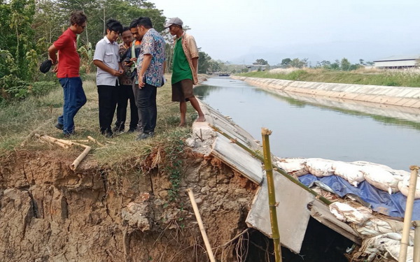 Debit Air Daerah Irigasi Sragi Pekalongan Turun Jadi 700 Liter Per Detik, Petugas Kesulitan Bagi Air