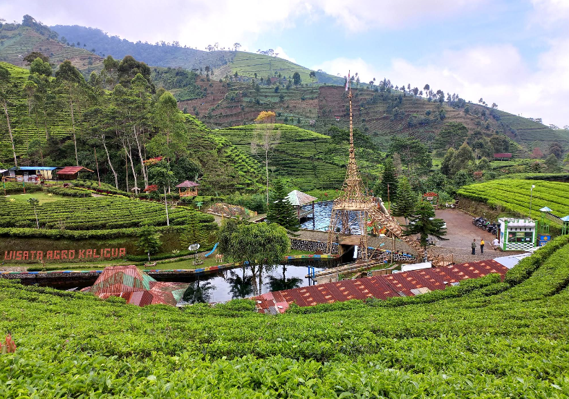 Wisata Murah di Brebes, 11 Destinasi Keren untuk Liburan Hemat
