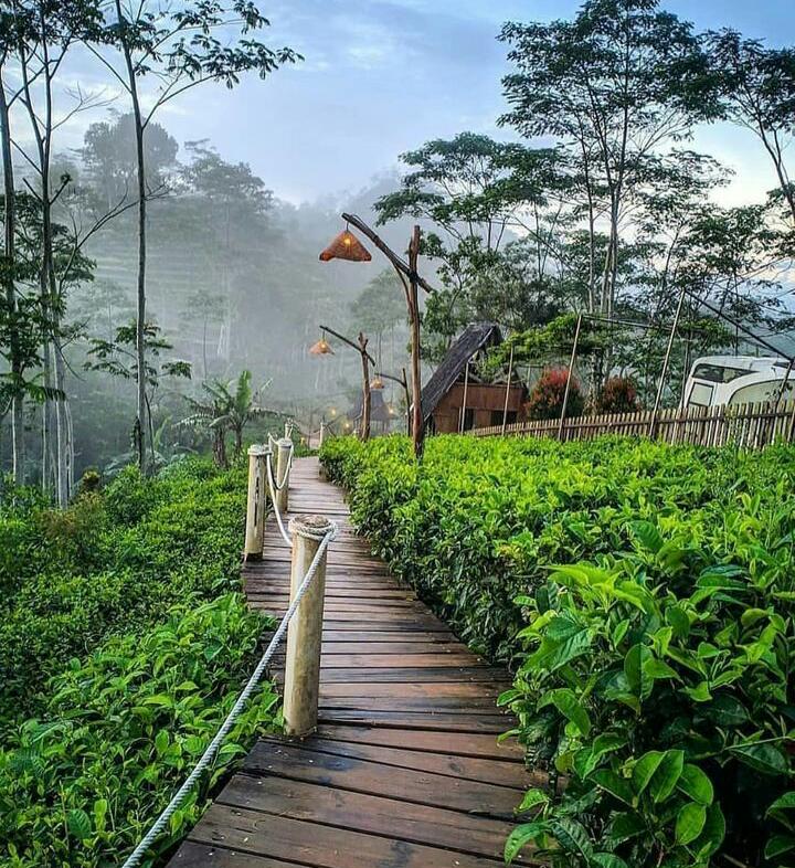 Bikin Kagum! Intip Pesona Desa Wisata Nglinggo, Suasana Pedesaan Gunungnya Bikin Betah