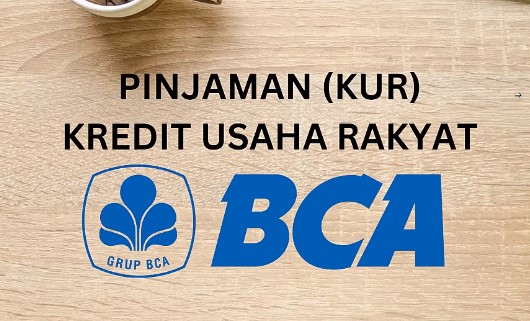 Cukup Mudah Syarat KUR BCA 2024, Bisa Cair Rp100 Juta Pas untuk Buka Usaha Anda