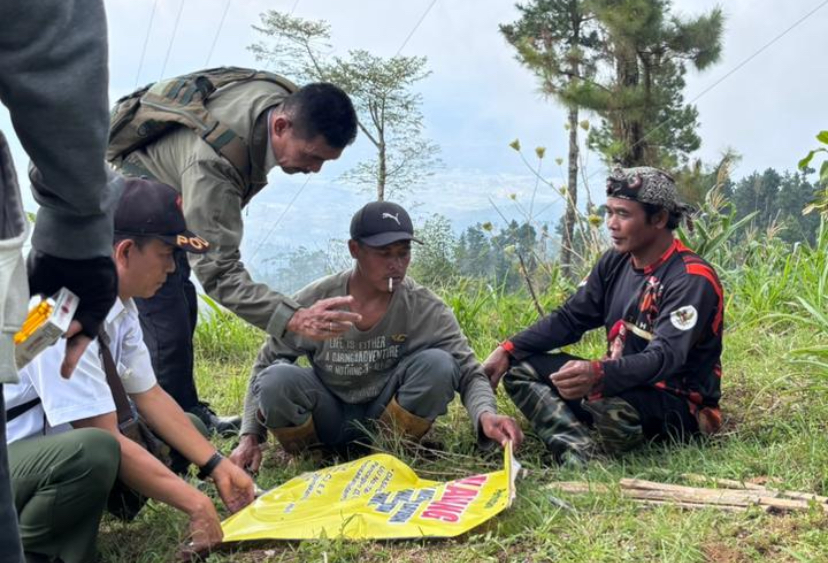 Baru Ditanam, Tanaman di Brebes Dirusak Oknum, Kepala DLHPS : Kami Prihatin