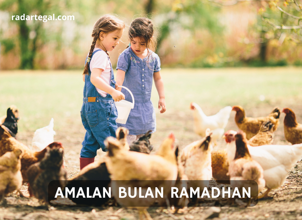 Mulai dari Beri Makan Hewan, Ini 7 Amalan Bulan Ramadhan yang Pahalanya Berlipat Ganda