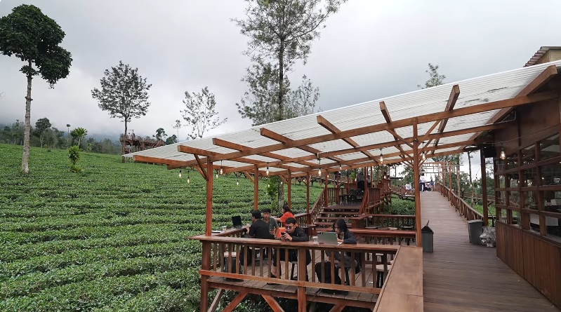 5 Rekreasi Kebun Teh Kekinian di Jawa Tengah Favorit Wisatawan Lokal
