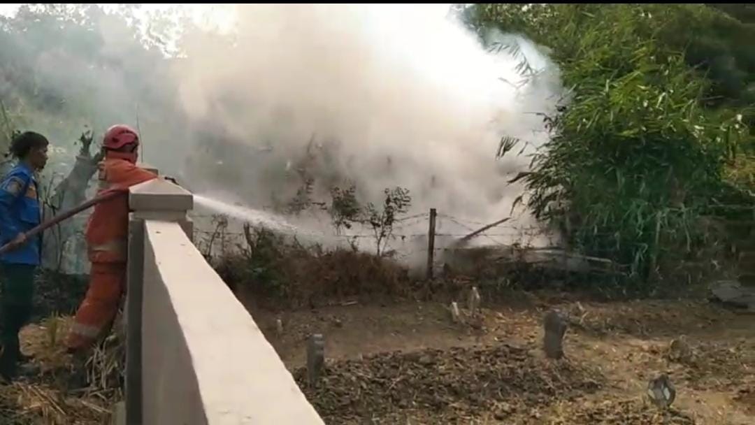 Tegal Mencekam, Empat Kebakaran Lahan Beruntun Mengamuk dalam Sehari